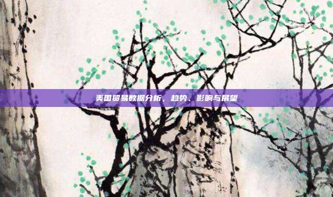 美国贸易数据分析，趋势、影响与展望