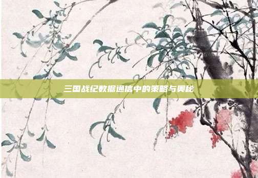 三国战纪数据通信中的策略与奥秘