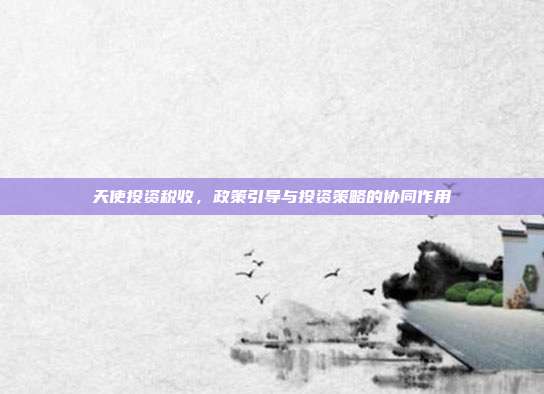 天使投资税收，政策引导与投资策略的协同作用