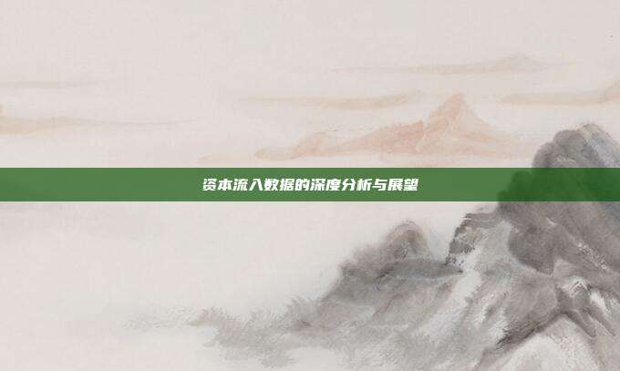 资本流入数据的深度分析与展望