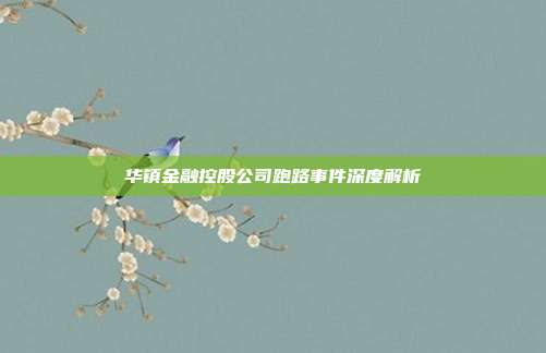 华镇金融控股公司跑路事件深度解析
