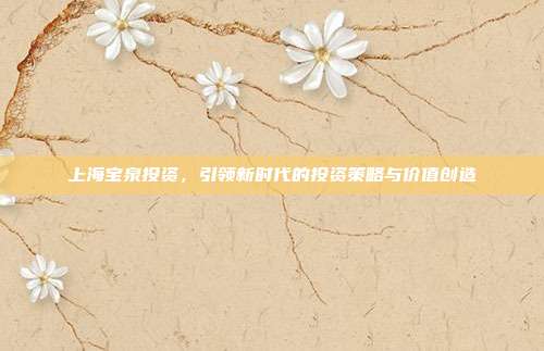 上海宝泉投资，引领新时代的投资策略与价值创造