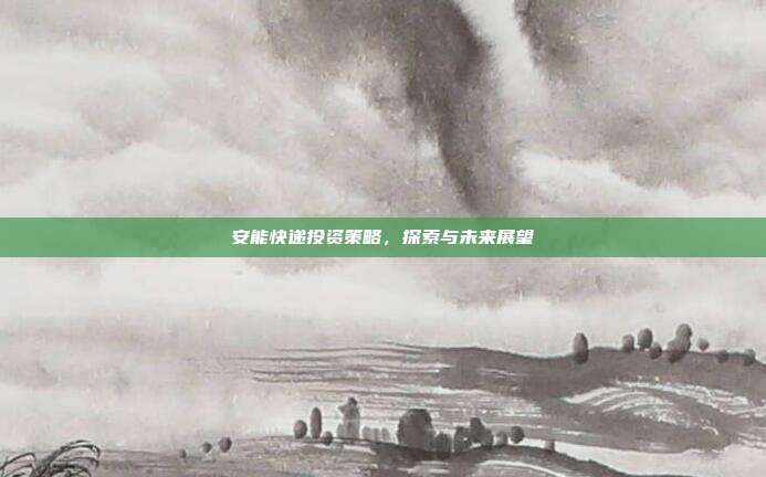 安能快递投资策略，探索与未来展望