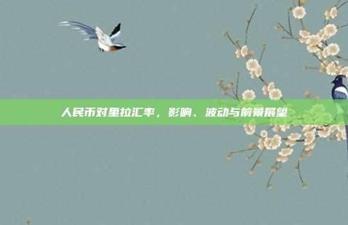 人民币对里拉汇率，影响、波动与前景展望