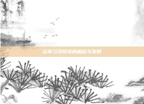 云南兰茂投资的崛起与发展