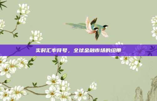 实时汇率符号，全球金融市场的纽带