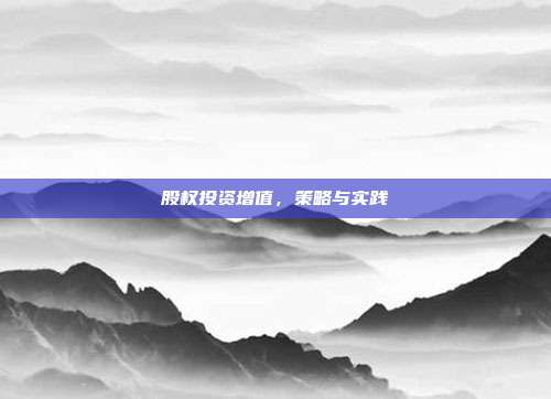 股权投资增值，策略与实践