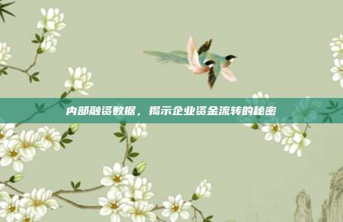内部融资数据，揭示企业资金流转的秘密