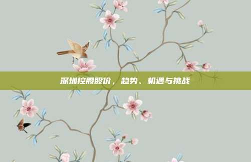 深圳控股股价，趋势、机遇与挑战