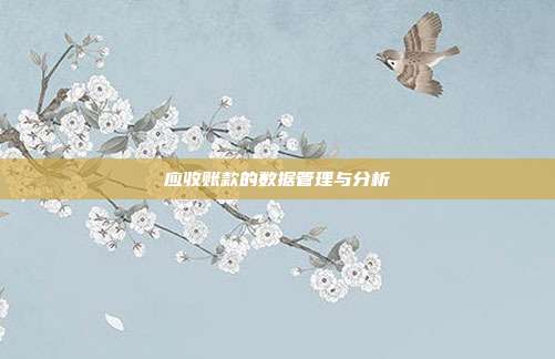 应收账款的数据管理与分析