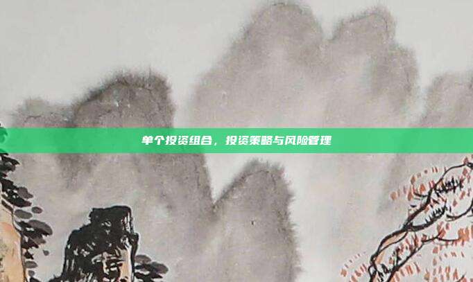 单个投资组合，投资策略与风险管理