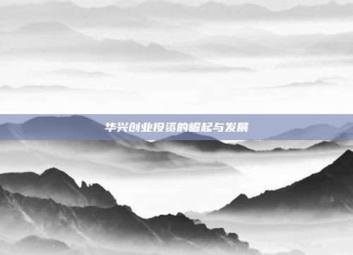 华兴创业投资的崛起与发展