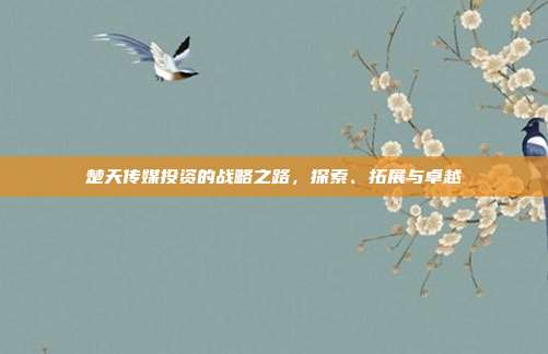 楚天传媒投资的战略之路，探索、拓展与卓越