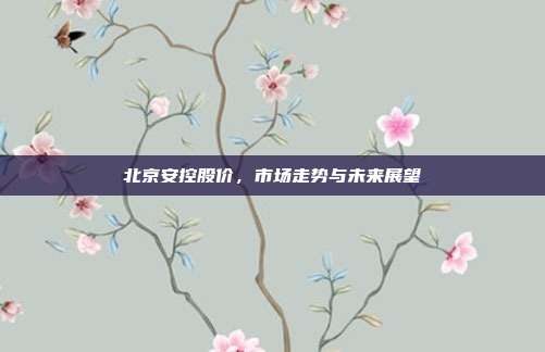 北京安控股价，市场走势与未来展望