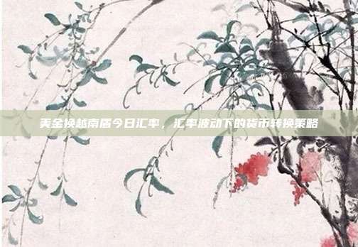 美金换越南盾今日汇率，汇率波动下的货币转换策略
