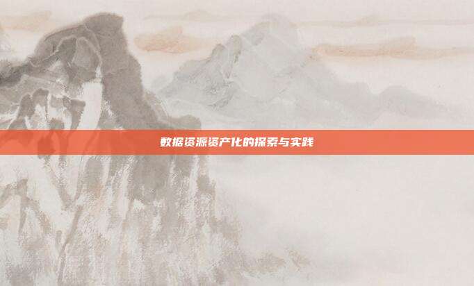 数据资源资产化的探索与实践