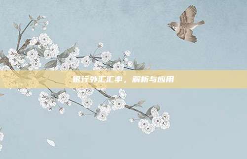 银行外汇汇率，解析与应用