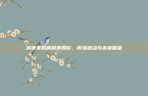 房地美和房利美股价，市场波动与未来展望