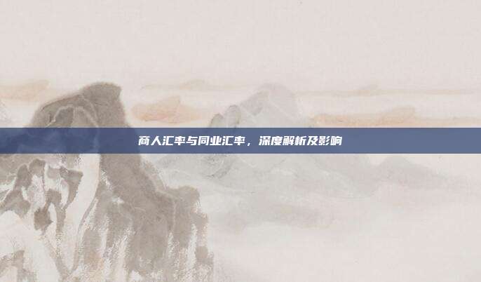 商人汇率与同业汇率，深度解析及影响