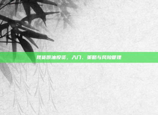 现货原油投资，入门、策略与风险管理
