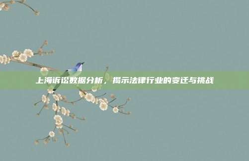 上海诉讼数据分析，揭示法律行业的变迁与挑战