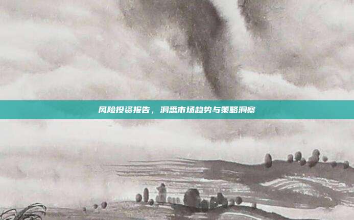 风险投资报告，洞悉市场趋势与策略洞察