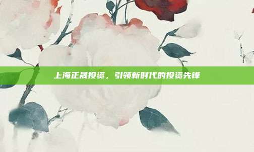 上海正晟投资，引领新时代的投资先锋