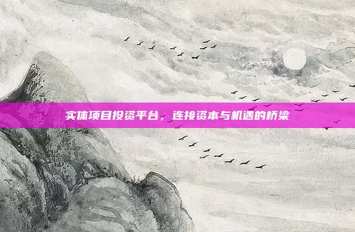 实体项目投资平台，连接资本与机遇的桥梁