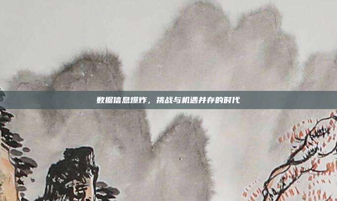 数据信息爆炸，挑战与机遇并存的时代
