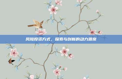 风险投资方式，探索与创新的动力源泉