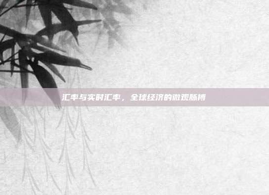 汇率与实时汇率，全球经济的微观脉搏