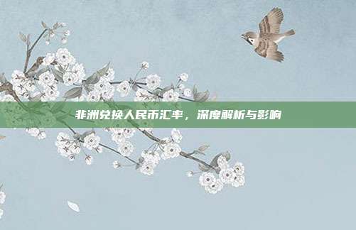 非洲兑换人民币汇率，深度解析与影响