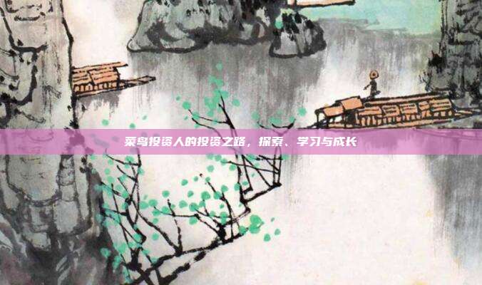 菜鸟投资人的投资之路，探索、学习与成长