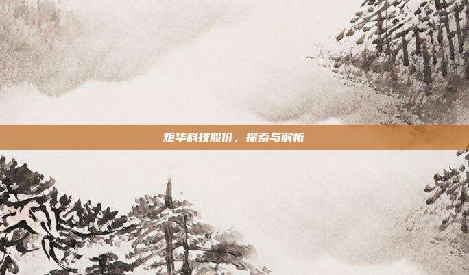 炬华科技股价，探索与解析