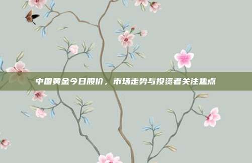 中国黄金今日股价，市场走势与投资者关注焦点
