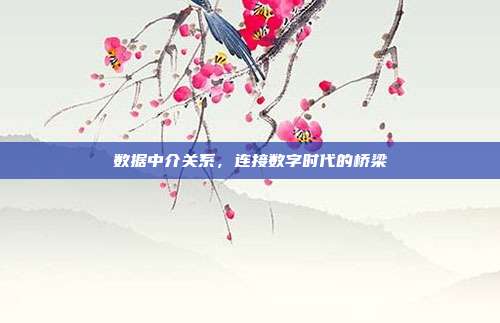 数据中介关系，连接数字时代的桥梁