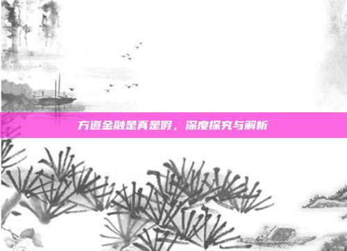 方道金融是真是假，深度探究与解析
