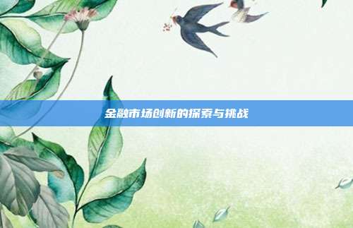 金融市场创新的探索与挑战