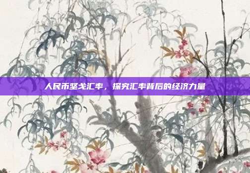 人民币坚戈汇率，探究汇率背后的经济力量