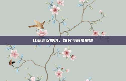比亚迪汉股价，探究与前景展望