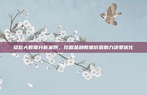 贷款大数据分析案例，挖掘金融数据价值助力决策优化