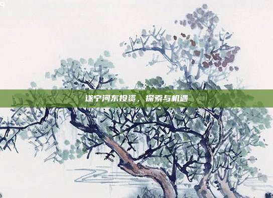 遂宁河东投资，探索与机遇