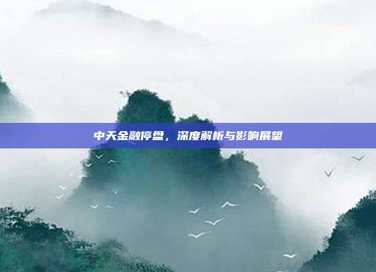 中天金融停盘，深度解析与影响展望