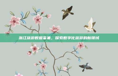 浙江旅游数据采集，探索数字化旅游的新领域