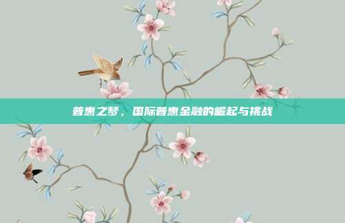 普惠之梦，国际普惠金融的崛起与挑战