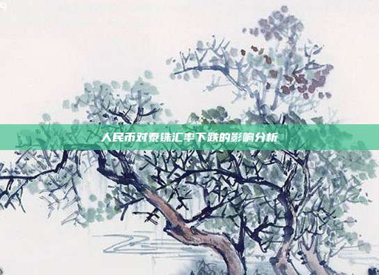 人民币对泰铢汇率下跌的影响分析