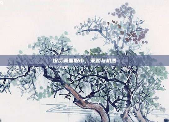 投资美国股市，策略与机遇