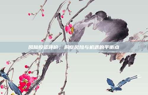 风险投资评价，洞察风险与机遇的平衡点