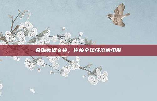 金融数据交换，连接全球经济的纽带