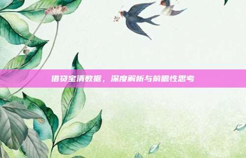 借贷宝清数据，深度解析与前瞻性思考